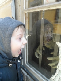 photo 959857