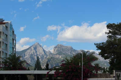 photo 911886