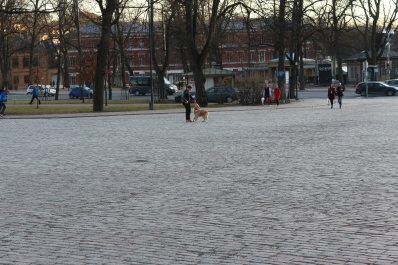 photo 925379