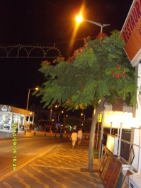 photo 959151