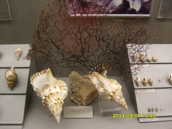 photo 964678
