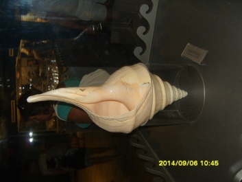 photo 964681