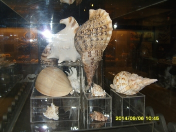 photo 964682