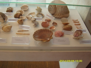photo 964684