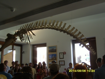 photo 964685