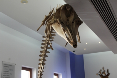 photo 964687