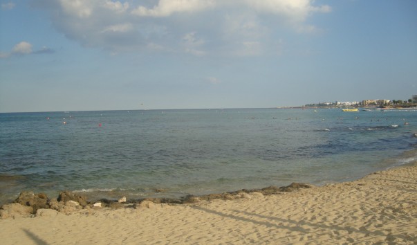 DSC02036