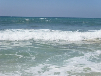 photo 977676