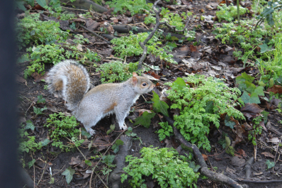 photo 1456048