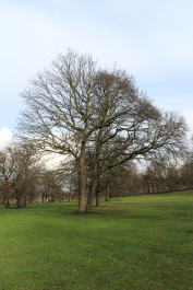 photo 1456052