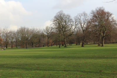 photo 1456053