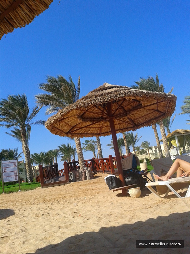 photo 1029390