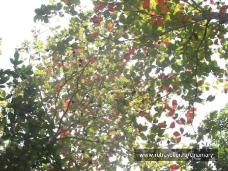 photo 60763