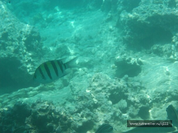 photo 26365