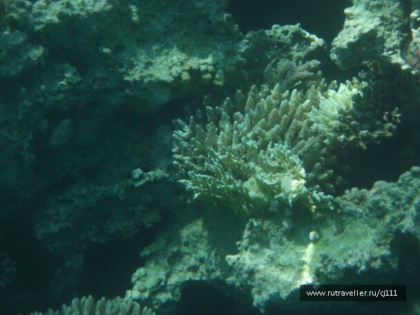 photo 26369