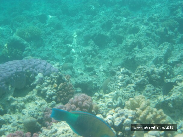 photo 26412