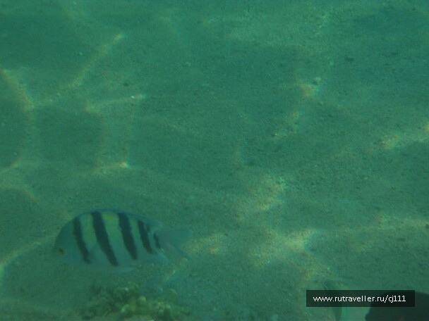 photo 26435