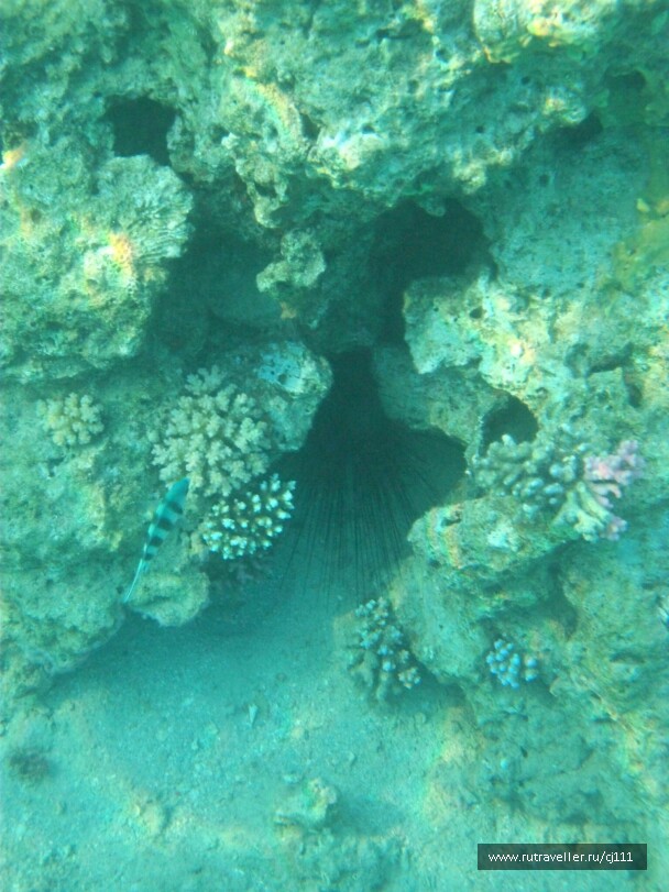photo 26442