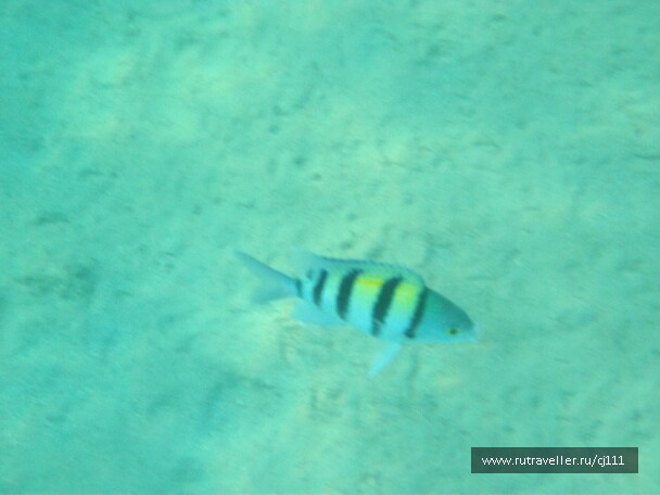 photo 26482