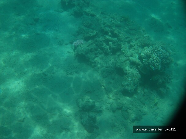 photo 26877