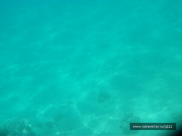 photo 26914