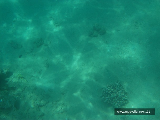 photo 26916