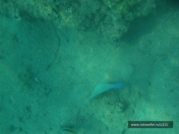 photo 26925