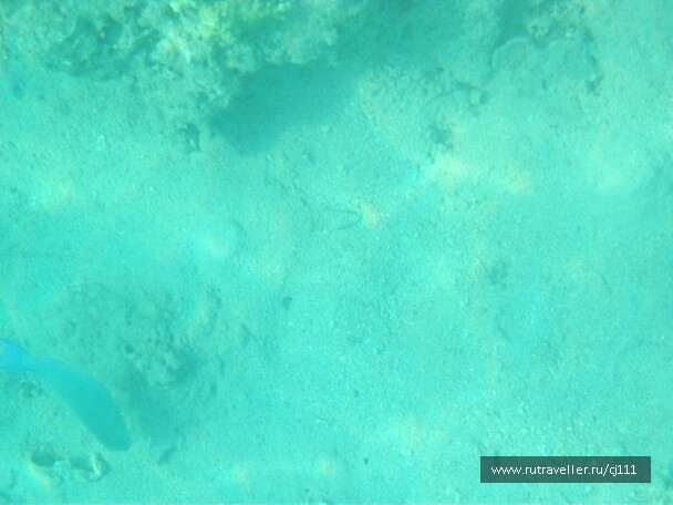 photo 26926