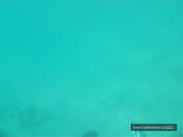 photo 26974
