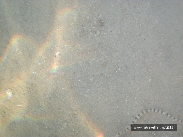 photo 26986