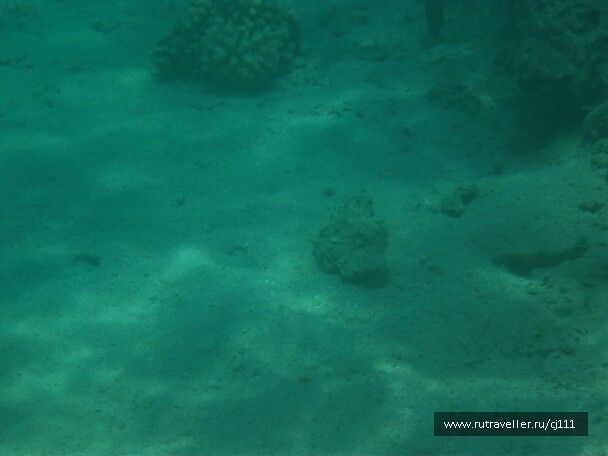 photo 26989