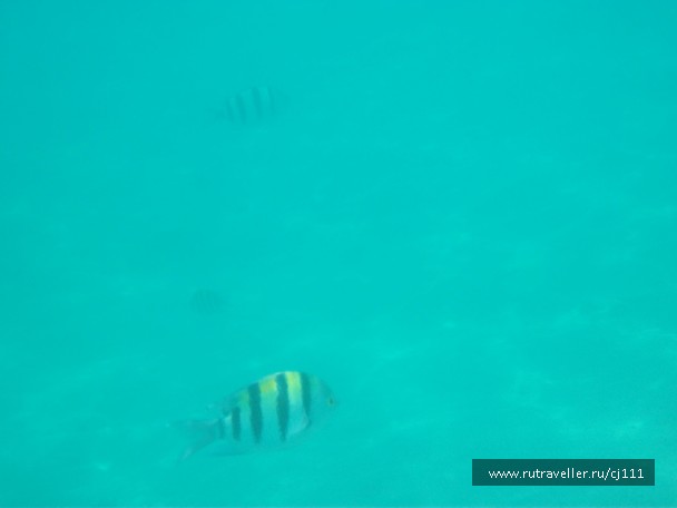 photo 26990
