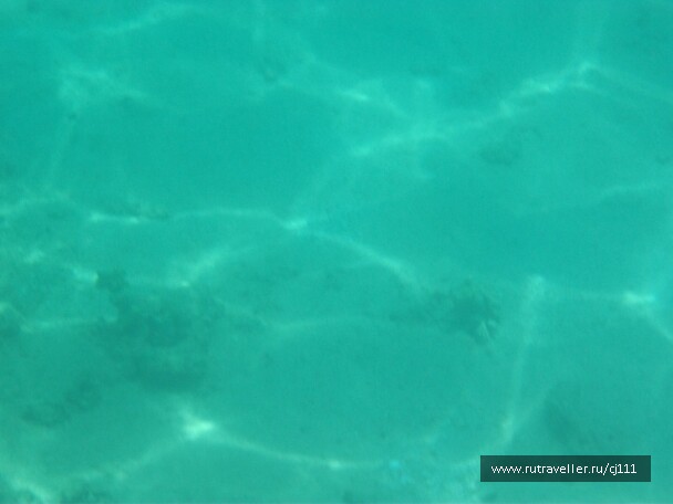 photo 26991