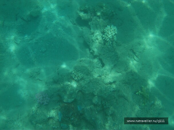 photo 26992