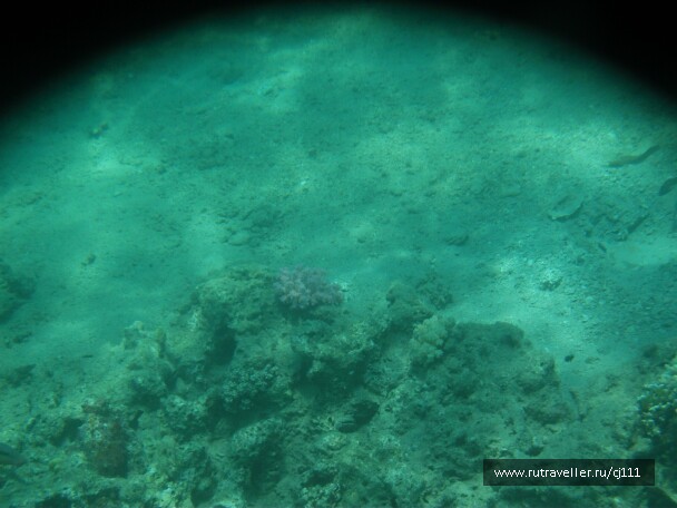 photo 26993