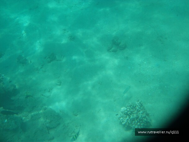 photo 26996