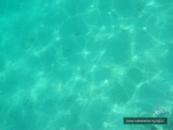 photo 26998