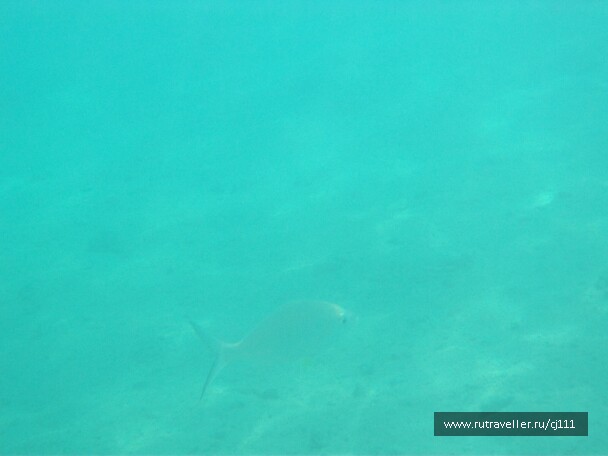 photo 27002