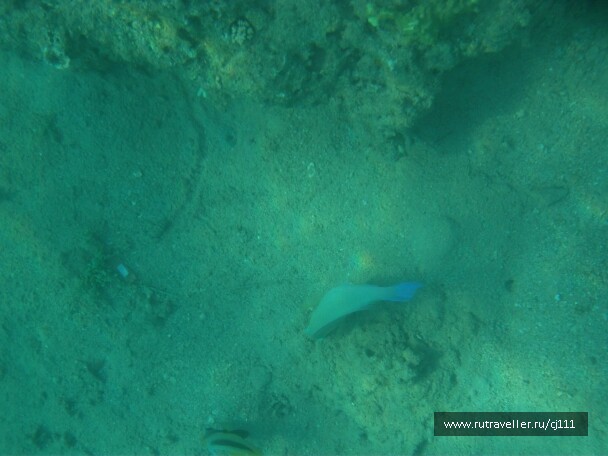 photo 27006