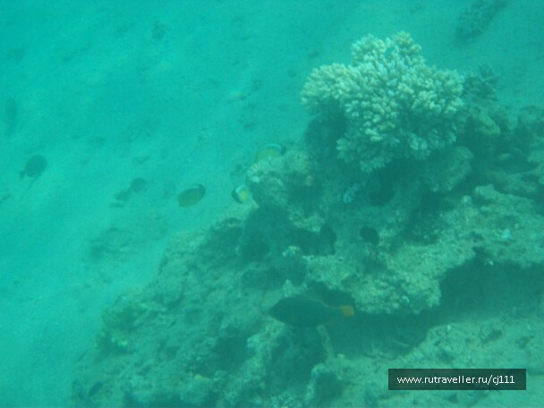 photo 27009