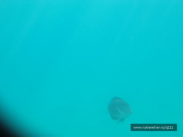 photo 27011