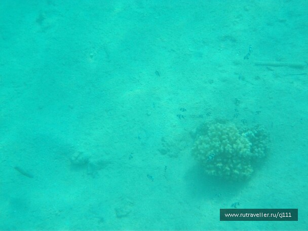 photo 27012
