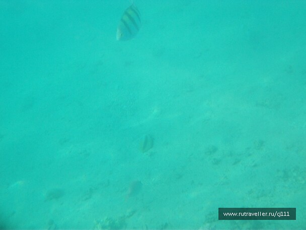 photo 27013