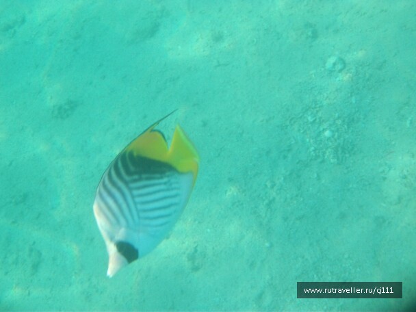 photo 27015