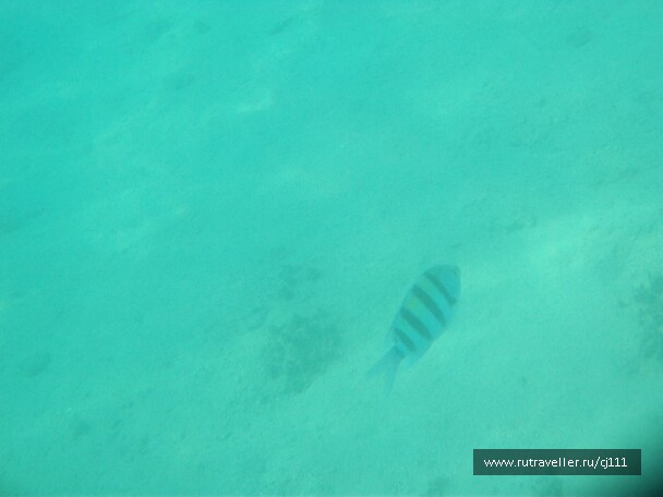 photo 27016