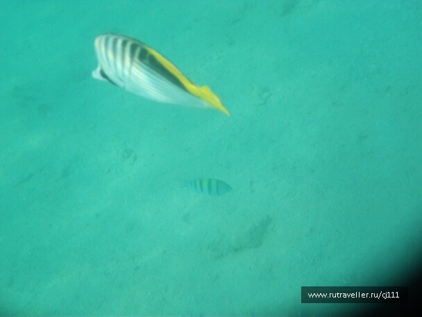 photo 27017