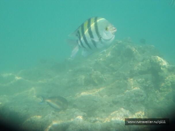 photo 27019