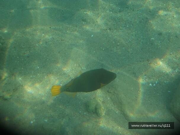 photo 27020