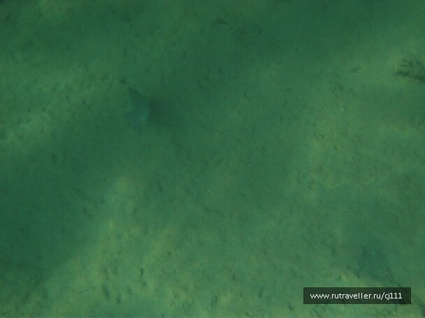 photo 27023