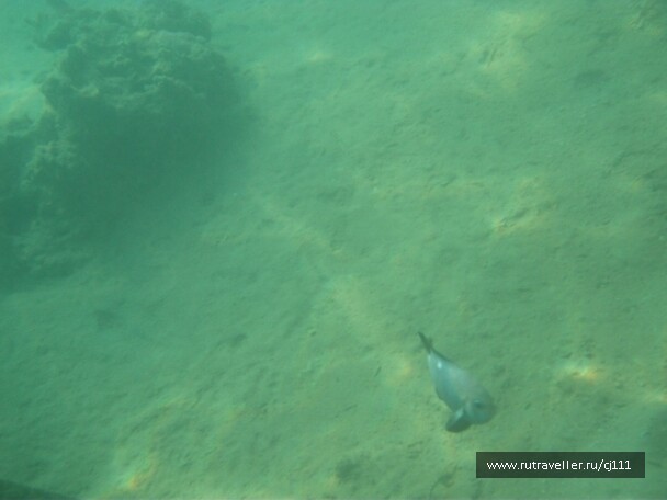 photo 27024